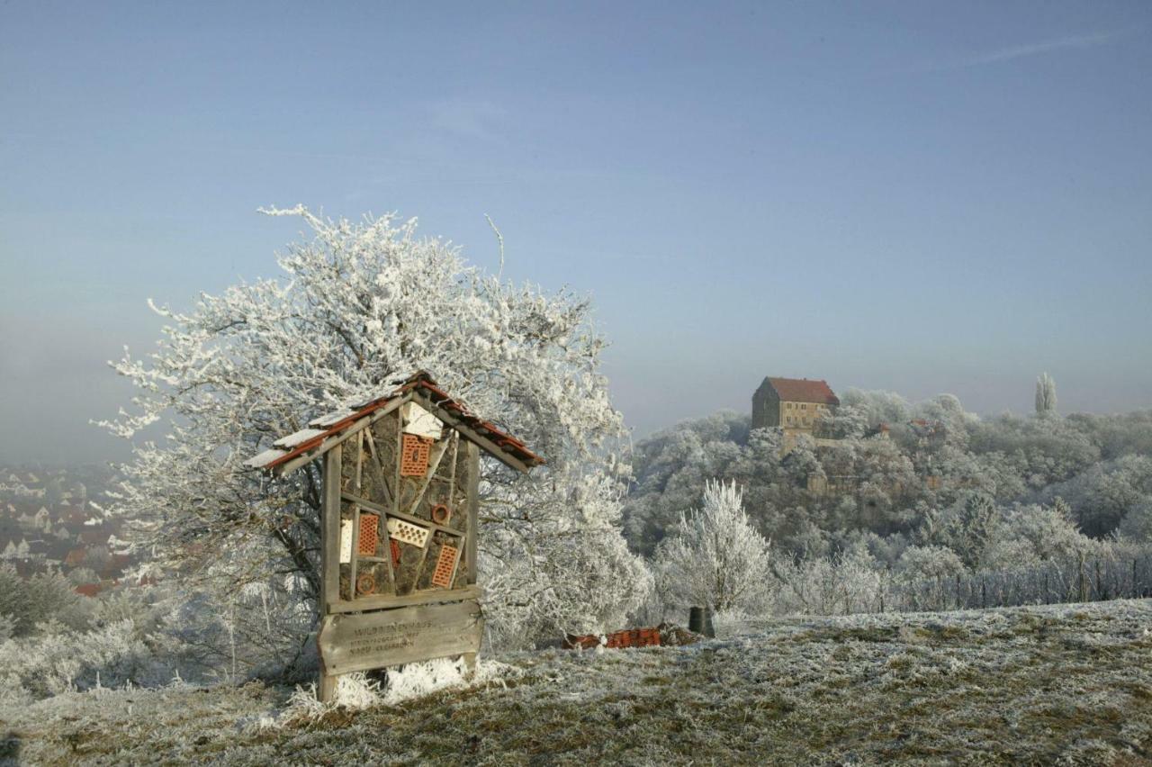 Villa In Seenahe Badesee Ehmetsklinge Zaberfeld ภายนอก รูปภาพ