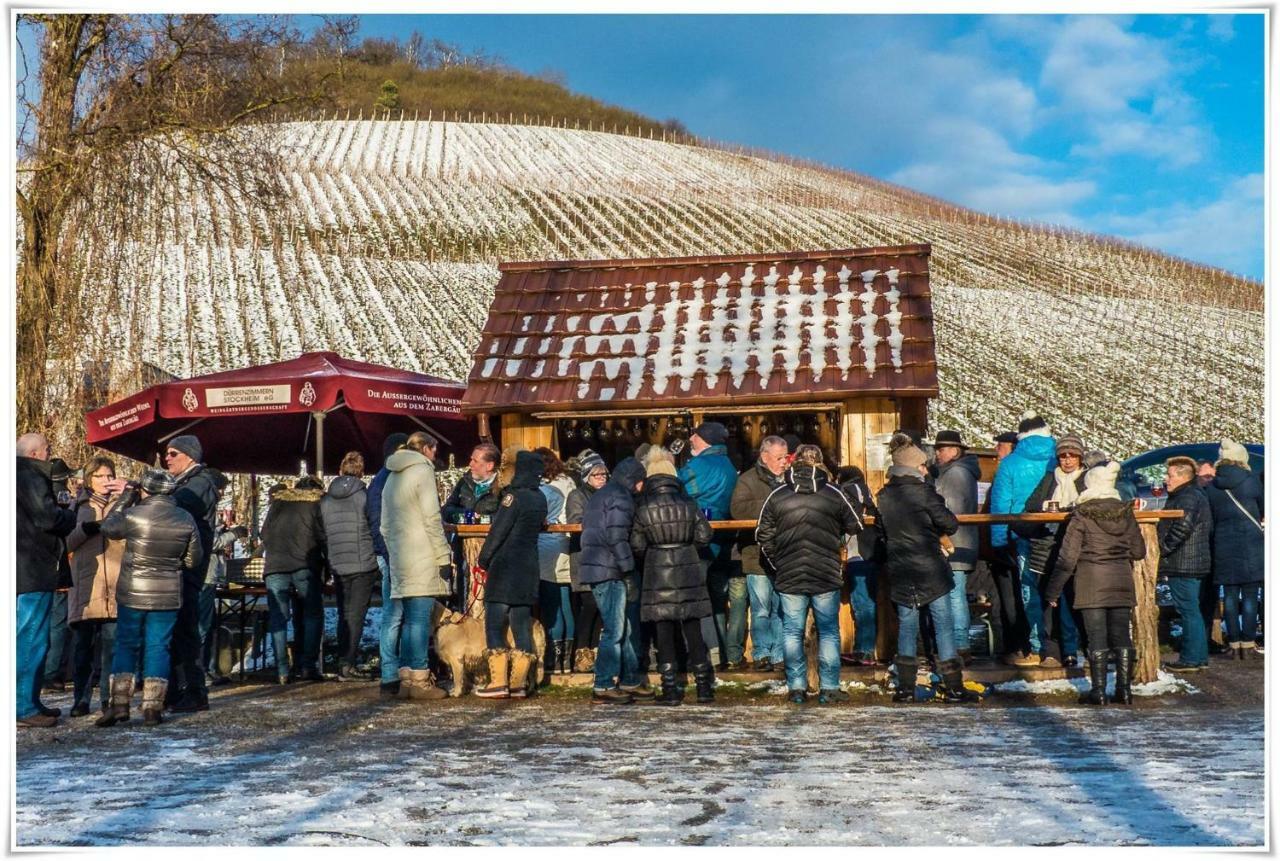 Villa In Seenahe Badesee Ehmetsklinge Zaberfeld ภายนอก รูปภาพ